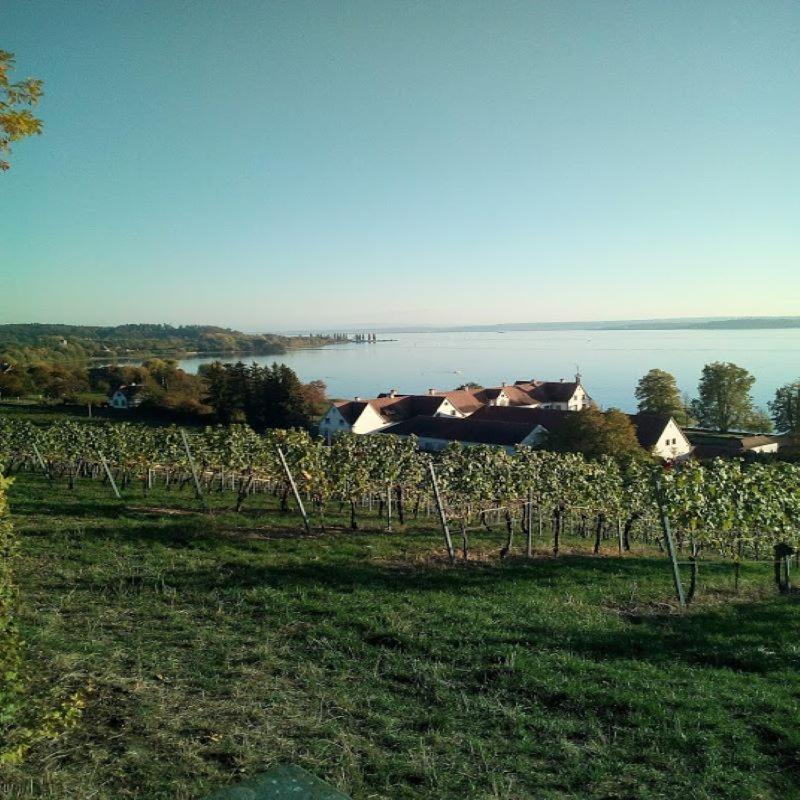 Ferienwohnung Am Bodensee 울딘겐물호펜 외부 사진